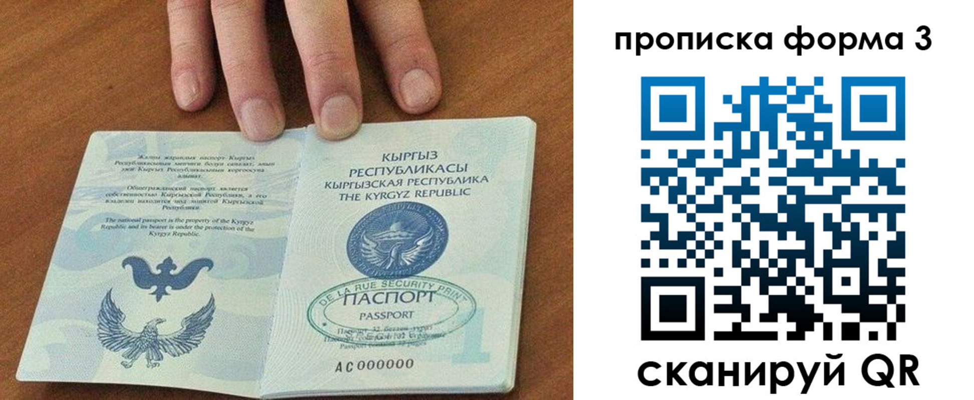 прописка 2025 в Богучаре